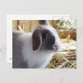 シルバー ポストカード (正面/裏面)