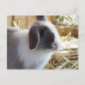 シルバー ポストカード (正面)