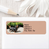 シルバーDachshundバディ2 ラベル (インサイチュ)