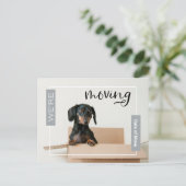 シルバーDachshund Dog in Boxはがき ポストカード (スタンド正面)