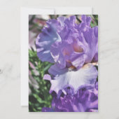 シルバ結婚ー記念日招待状 (裏面)