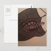 シルパッド ポストカード (正面/裏面)