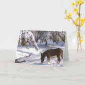 シルビア カード (黄色い花)