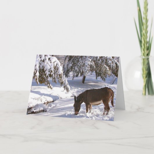 シルビア カード (正面)