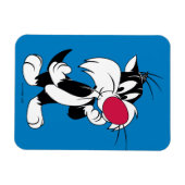 シルベスター·ジュニア|ポクラシックーズ マグネット (横)