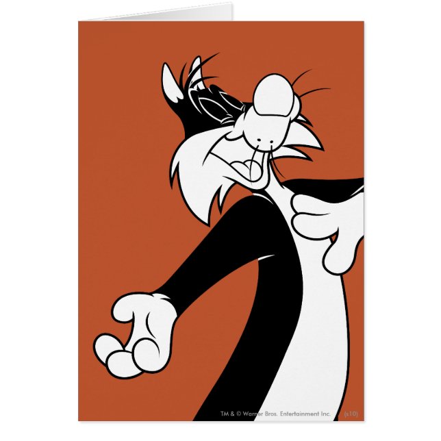 シルベスター™歌 (正面)