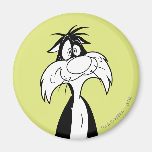 シルベスター™ 間抜け マグネット (正面)