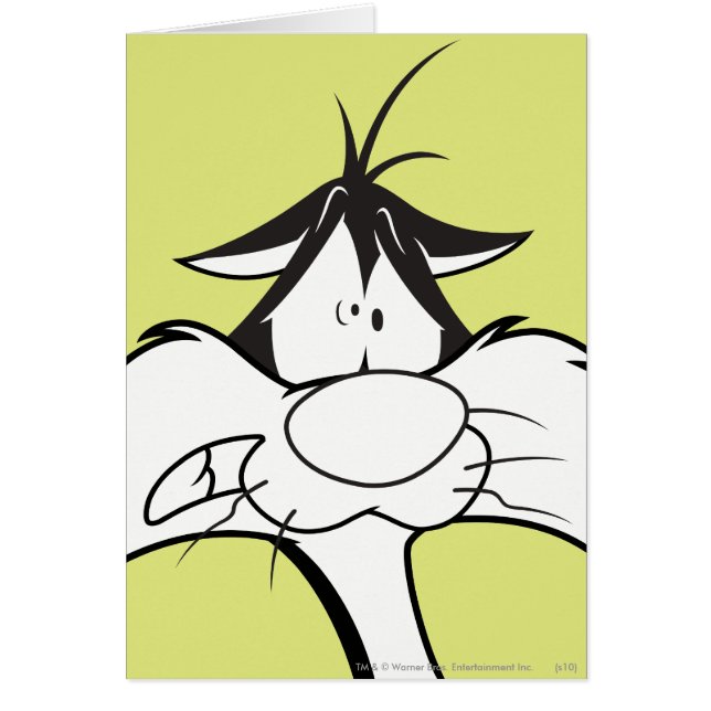 シルベスター™顔 (正面)