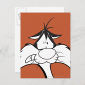 シルベスター™顔 ポストカード (正面/裏面)