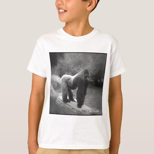 シルベバックゴリラ Tシャツ (正面)