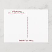 シルボートアットシェルターコーブマリーナヒルトンヘッドアイランド ポストカード (裏面)