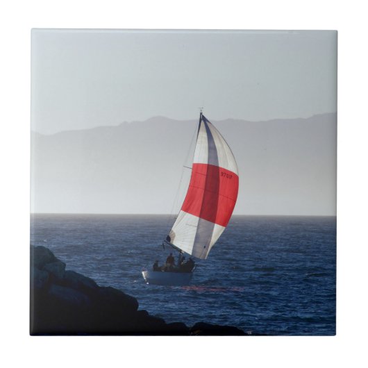 シルボートヴェネツィアビーチCA タイル (正面)