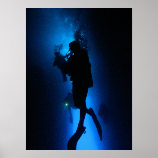 シルロイエット ポスター (正面)