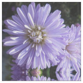 シレネ ファブリック (クローズアップ)