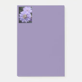 シレネ ポストイット (正面)