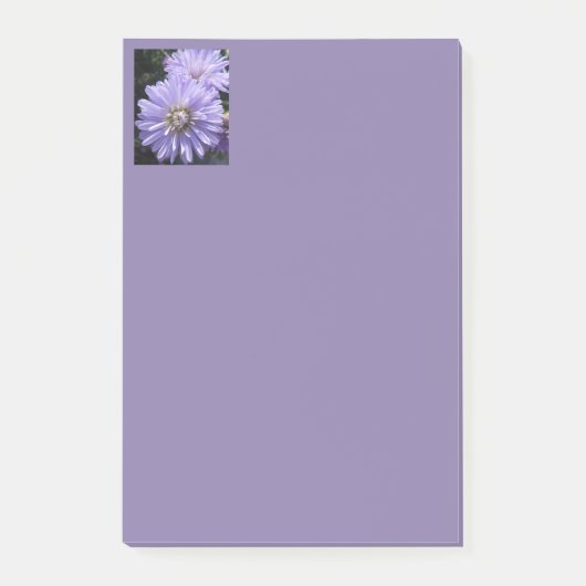 シレネ ポストイット (正面)