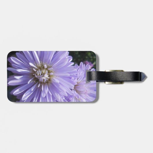 シレネ ラゲッジタグ (裏面横)