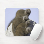 シロアリ塚のドワーフモンガチョウのグループ マウスパッド (マウス)