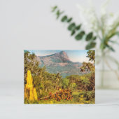 シロアリ塚,シエラダハンバ,アンゴラ ポストカード (スタンド正面)