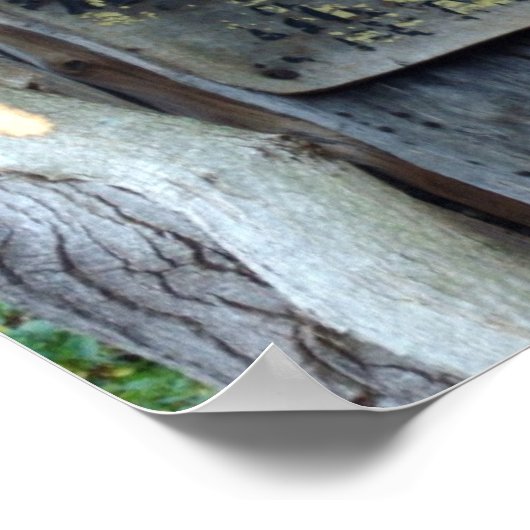 シロアリ？ ポスター (角)