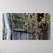 シロアリ？ ポスター (正面)