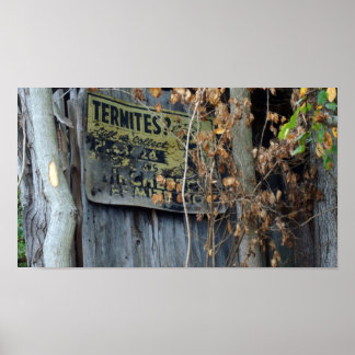 シロアリ？ ポスター