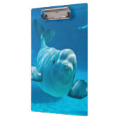 シロイルカのクジラ クリップボード (左)