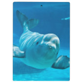 シロイルカのクジラ クリップボード (裏面)