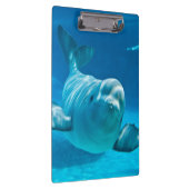 シロイルカのクジラ クリップボード (右)