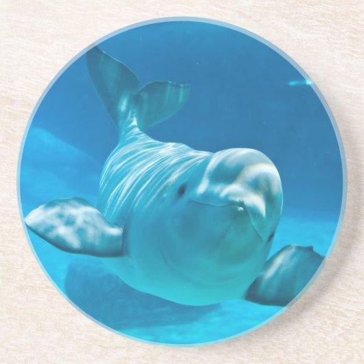 シロイルカのクジラ コースター (正面)