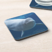 シロイルカのクジラ(Delphinapterusのleucas) コースター (左側)