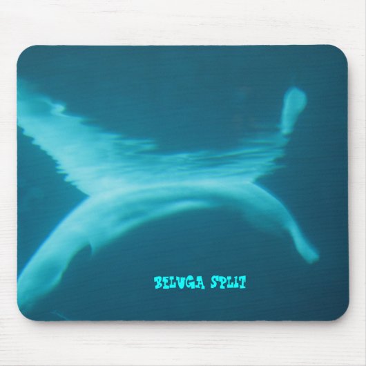 シロイルカの割れたmousepad マウスパッド (正面)