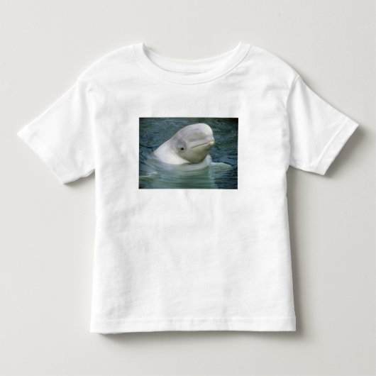 シロイルカ、(Delphinapterus leucas) トドラーTシャツ (正面)