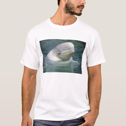 シロイルカ、Delphinapterus leucas) Tシャツ (正面)