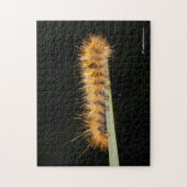 シロウシキガ ジグソーパズル (縦)