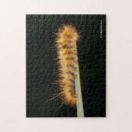 シロウシキガ ジグソーパズル