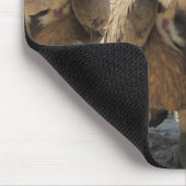 シロエリハゲワシ マウスパッド (コーナー)