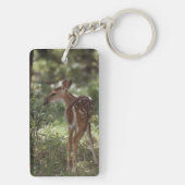 シロオジロジカ, Odocoileus virginianus キーホルダー (裏面)