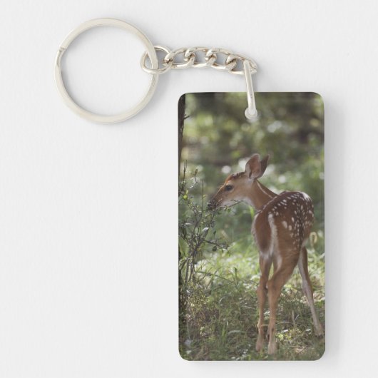 シロオジロジカ, Odocoileus virginianus キーホルダー (正面)