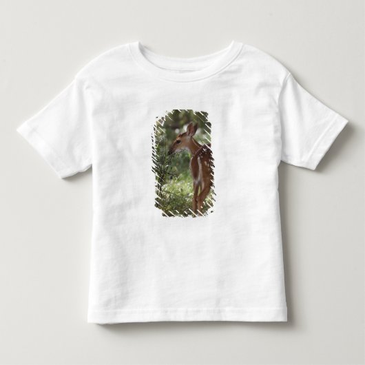 シロオジロジカ, Odocoileus virginianus トドラーTシャツ (正面)