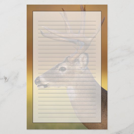 シロオジロジカ, Odocoileus virginianus, 便箋 (正面)