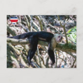 シロガオオマキザルにプーラ・ビダ ポストカード (正面)