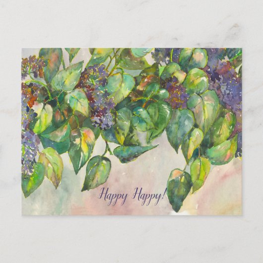 シロガニ ポストカード (正面)