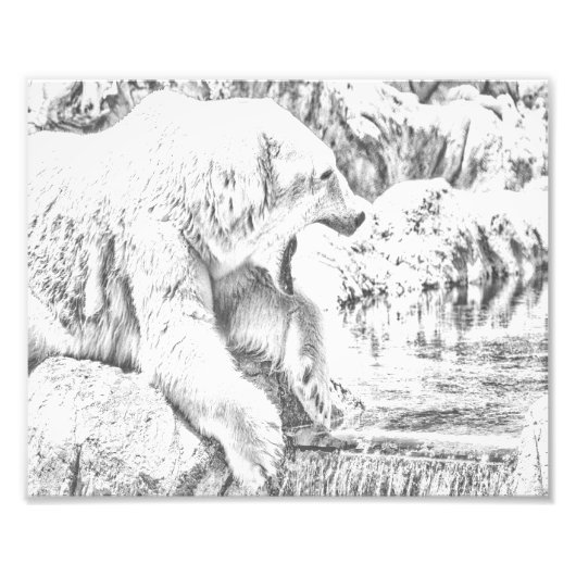 シロクマと水 フォトプリント            (正面)