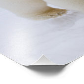 シロクマのウルソス・マリティムス、氷と雪の上に。 フォトプリント (角)