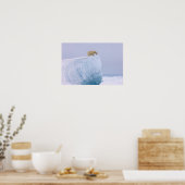 シロクマのウルソマリティムスは巨大な ポスター (キッチン)