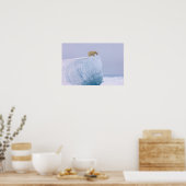 シロクマのウルソマリティムスは巨大な ポスター (キッチン)