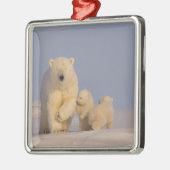 シロクマのウルドス・マリティムス生まれたばかりのは メタルオーナメント (左)