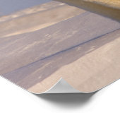 シロクマのウルーシュ・マリティムスは生まれたばかりの3種 ポスター (角)