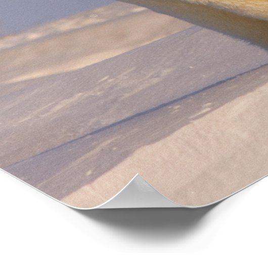 シロクマのウルーシュ・マリティムスは生まれたばかりの3種 ポスター (角)